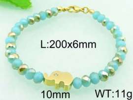 Stainless Steel Plastic Bracelet