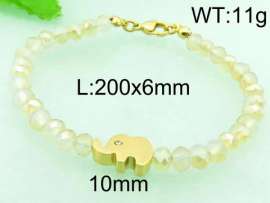 Stainless Steel Plastic Bracelet