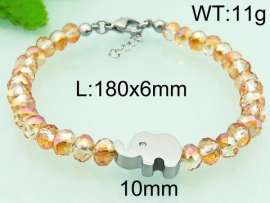 Stainless Steel Plastic Bracelet