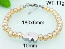 Stainless Steel Plastic Bracelet