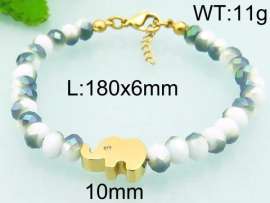 Stainless Steel Plastic Bracelet