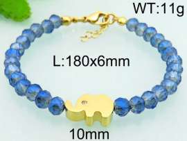 Stainless Steel Plastic Bracelet