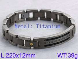 Titanium Bracelet